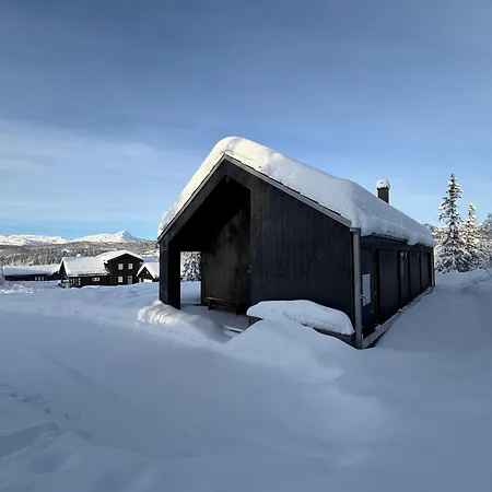 The Lookout At Beitostolen