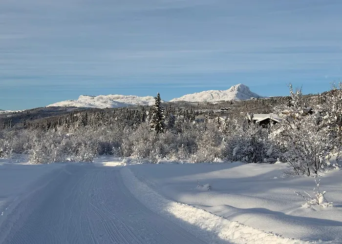 The Lookout At Dom wakacyjny